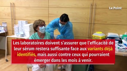 Vaccins anti-Covid : les huit vaccins au banc d’essai