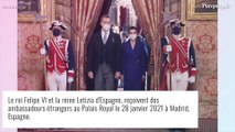 Letizia d'Espagne : Cheveux blancs en avant et looks de travail réussis, la reine multiplie les sorties