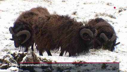 Météo : le nord de la France balayé par une vague de froid