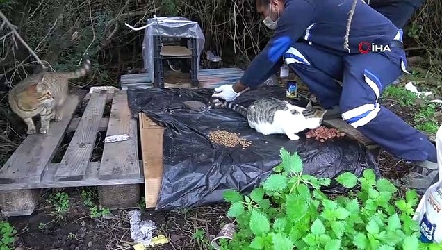 Bir yandan temizlik yaptılar diğer yandan sokak hayvanlarını beslediler