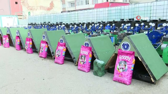 Sokak hayvanlarına sıcak yuva