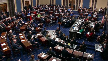 Segundo processo de destituição de Donald Trump