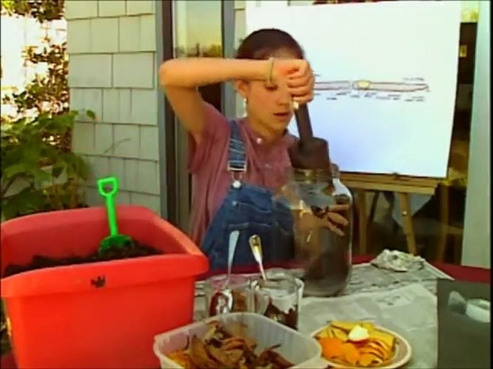 Bill Nye the Science Guy - S04E15 Invertebrates