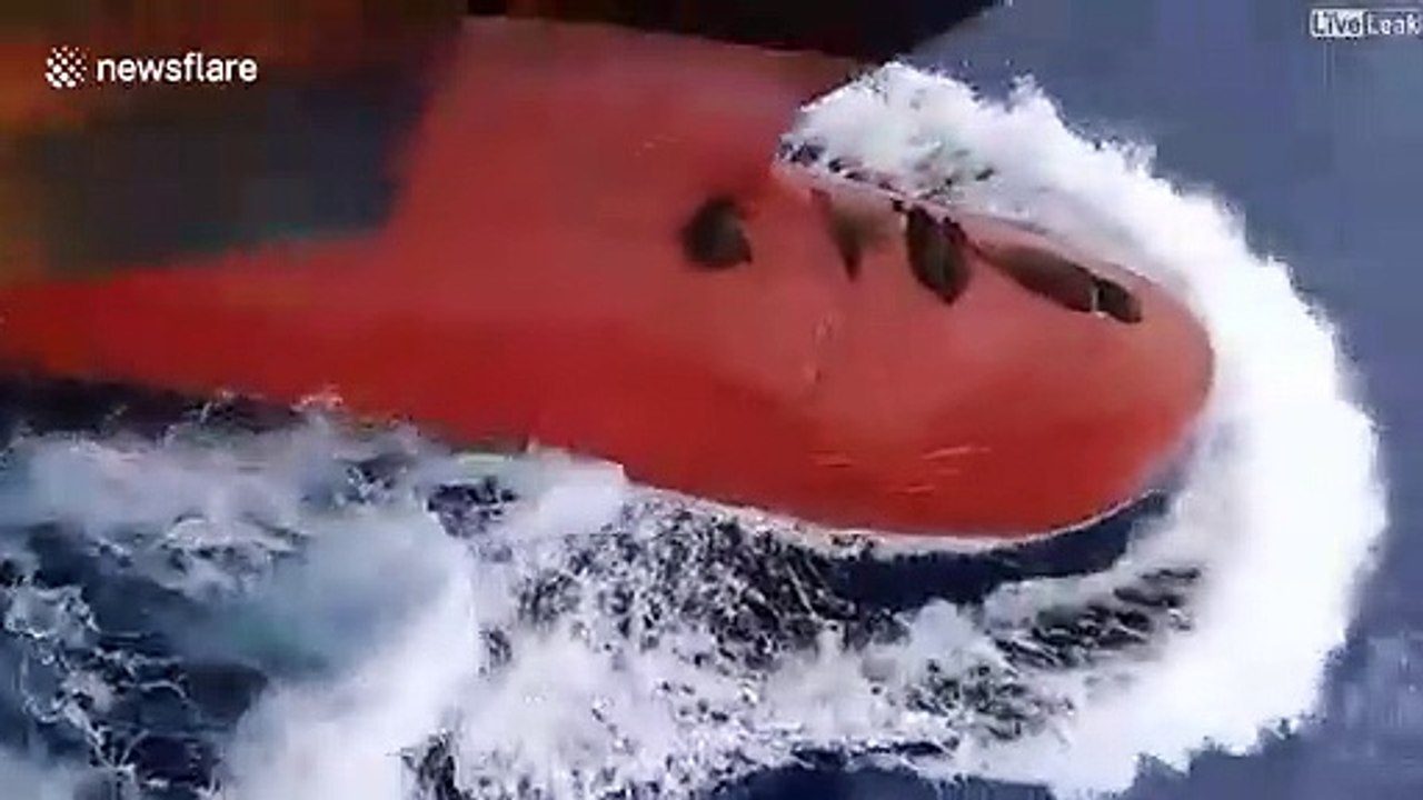 Ces lions de mer ont trouvé l'endroit parfait pour se reposer