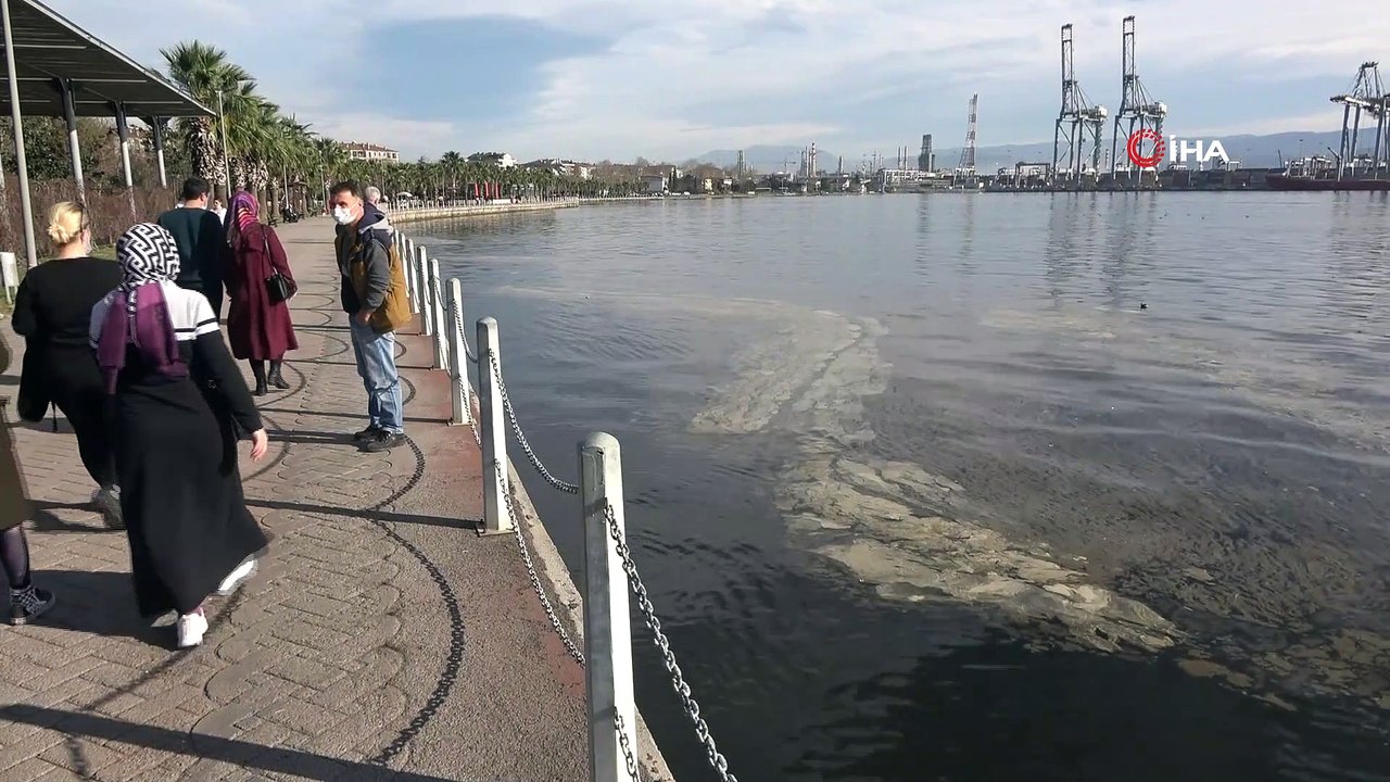Vatandaşların kirlilik sandığı İzmit Körfezi’ndeki tabakanın sebebi bambaşka çıktı