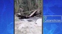El Cazanoticias: puente afecta el paso de personas en Rovira, Tolima