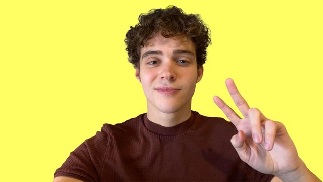 Joshua Bassett Lie Lie Lie Official Lyrics & Meaning | Verified