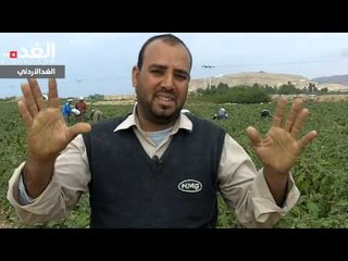 مزارعون يطالبون بفتح أبواب تصدير الفواكه والخضار