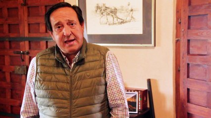 El sector del aceite de oliva aplaude la decisión de excluirle de etiquetado de NutriScore