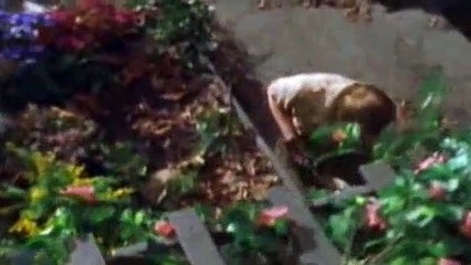 The Outer Limits S07E12 Flower Child