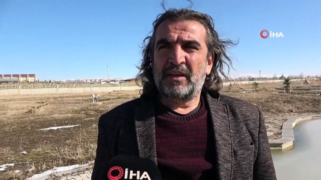 Yaz Aylarında Van’a Gelen Flamingolar, Kışı Van Gölü’nde Geçiriyor