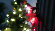 -VLOG Putting Up My Christmas Decorations_