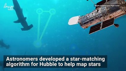 Do Whale Sharks and the Hubble Telescope Have a lot of Things in Common?