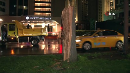 Bakırköy’de gövdesinden kırılan ağaç, seyir halindeki aracın üzerine düştü