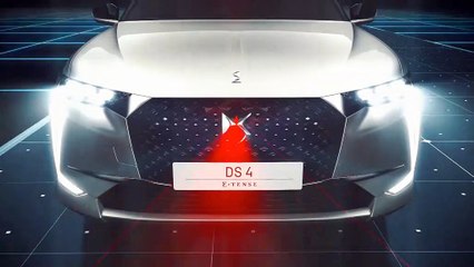 DS Night Vision