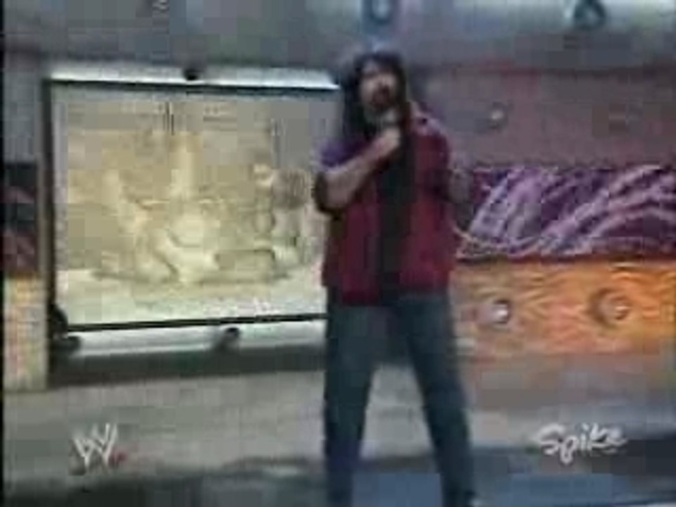 RAW - 29.3.2004 - Evolution Promo
