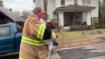 Conmovedor video del reencuentro de un hombre con su mascota tras ser rescatada de un incendio