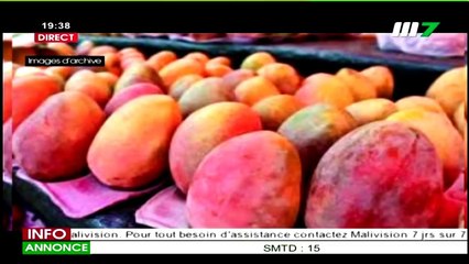 JT BAMBARA 19H30 DU 08 FÉVRIER 2021