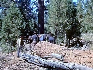 Bonanza ep11 La Franja de Truckee en Español