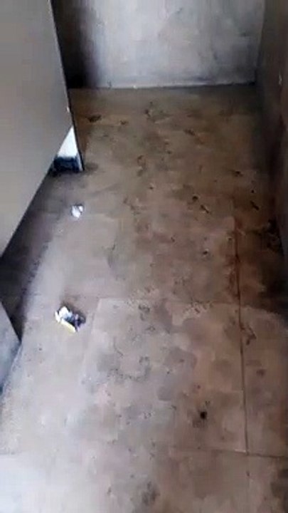 ¡Asquerosas imágenes! Así lucen los baños de la caseta de peaje ‘Cuatro Caminos’
