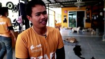 Perros discapacitados corren en Tailandia con ayuda de ruedas.