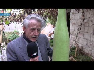 التربة الذكية .. اختراع أردني بامتياز