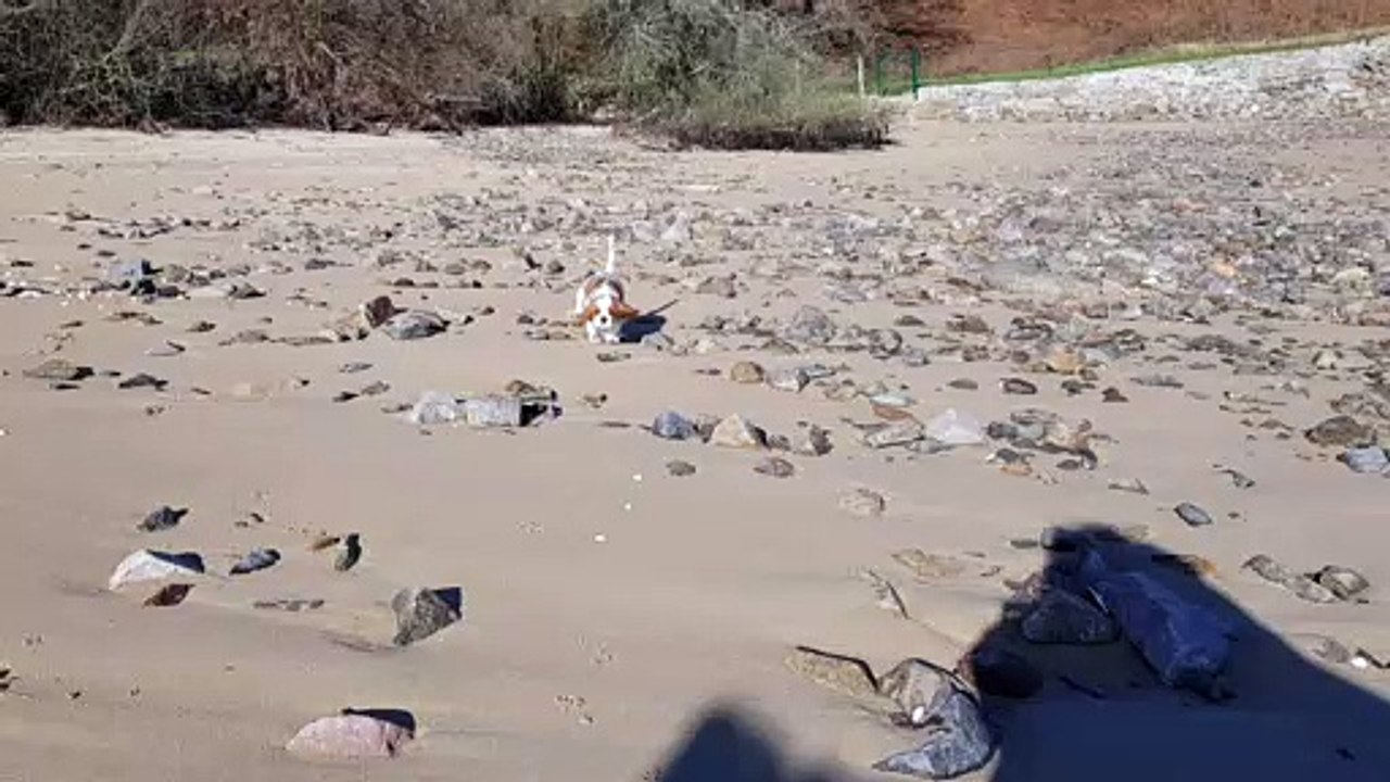 Rey à la plage