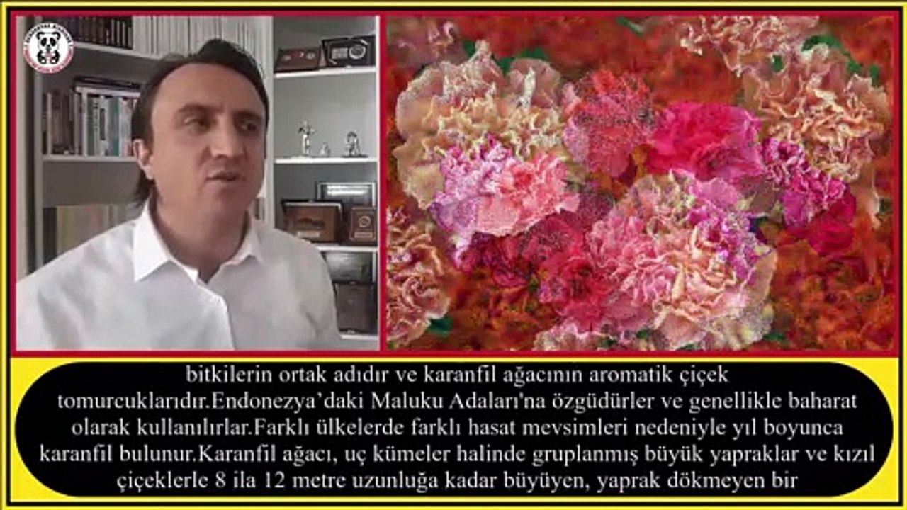 05-01215-KARANFİL-DailyMotion