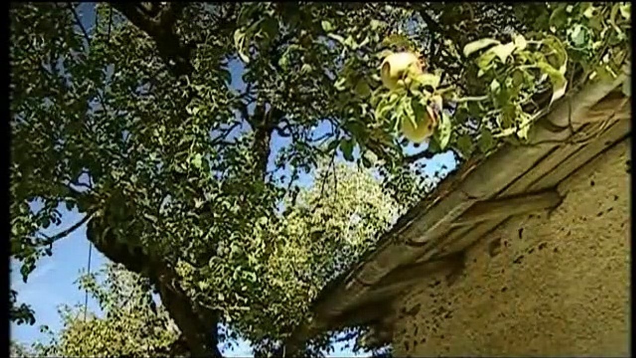 Sturm der Liebe, Folge 725 2/5