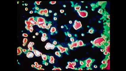 Cosmos - Carl Sagan | 09 La vida de las estrellas [castellano latinoamericano]