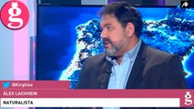 Hablamos con el naturalista Álex Lachhein sobre la prohibición de la caza del lobo en España