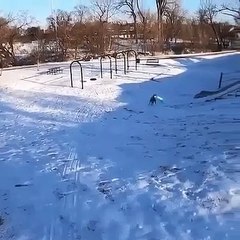 KARDA KIZAKLA KAYAN KÖPEK