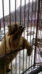 AYICIK ŞEN ŞAKRAK BESLENİYO