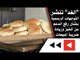 "الغد" تنشر التوجهات الرسمية بشأن رفع الدعم عن الخبز وزيادة ضريبة المبيعات