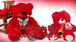 Teddy Colors | Teddy Day Status | Happy Teddy Day Whatsapp Status | Teddy Day 2021 Valentine Teddy
