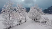 Aerial view of a winter wonderland