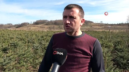 Hobi olarak ektiği fidanların toplam değeri 1,5 milyon TL