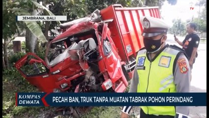 Download Video: Pecah Ban, Truk Tanpa Muatan Tabrak Pohon Hingga Sopir Patah Tulang