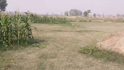 neew pakistani drma dil jon The Set | Shooting 2021part 5 salma and sama zbtvhd