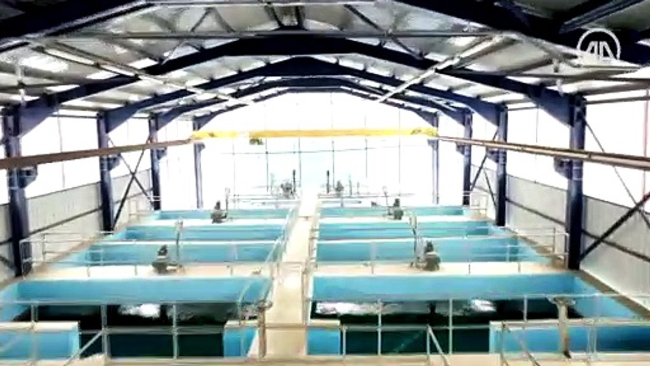 Van'da 20 milyon avroluk içme suyu arıtma tesisi hizmete girdi