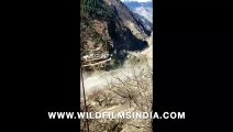 First view of Ganges river flooding over with glacial debris at Chamoli, Uttarakhand_ 7 Feb 2021