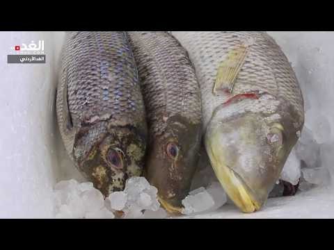 العقبة: حركة نشطة على اسواق السمك بالتزامن مع حملة تخفيضات كبيرة