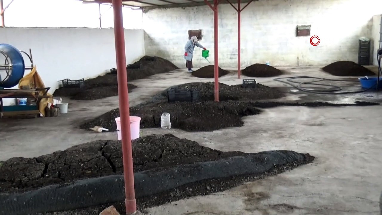 2 üniversite mezunu kadın, organik solucan gübresi üretiyor