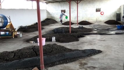 2 üniversite mezunu kadın, organik solucan gübresi üretiyor