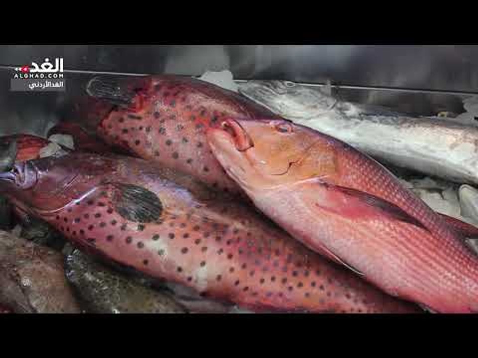 العقبة: رمضان فرصة صيادي الاسماك وبائعيه لتحسين اوضاعهم