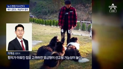 [다시 간다]개물림 사망 사고, 8개월 후…5종류만 맹견?
