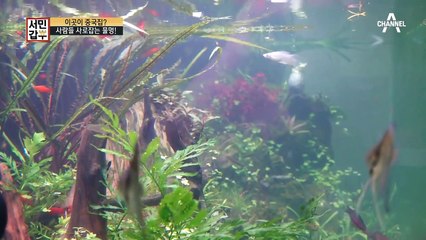 요즘 대세 물멍, 뇌에 실제로 미치는 영향은?