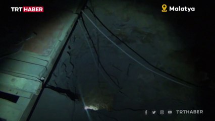 Define ararken yakalandılar