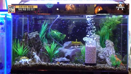 계속 더 발전하는 갑부, 직접 개발까지 나선 갑부의 여과기