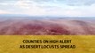 Counties put on high alert as desert locusts spread